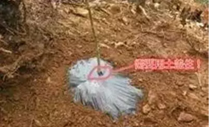 blob.png